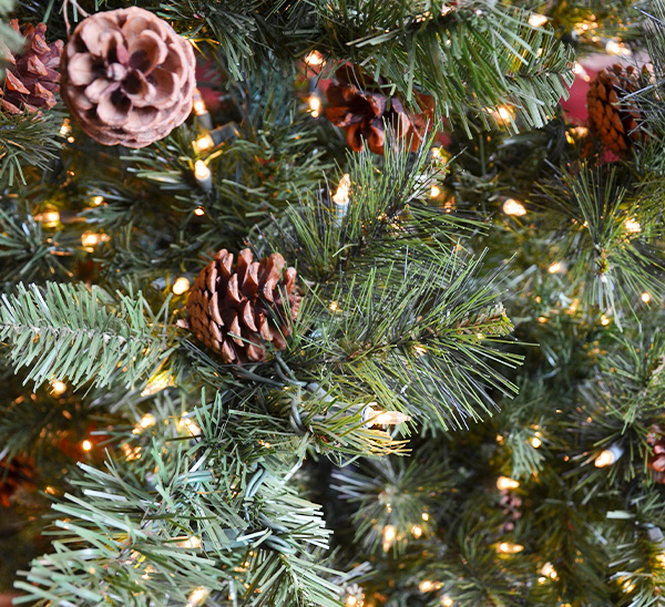 Life-Like Christmas Trees 