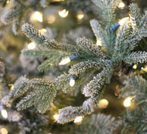 Life-Like Christmas Trees