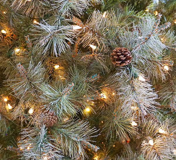 Life-Like Christmas Trees 