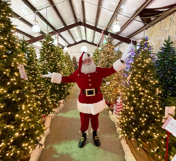 Life-Like Christmas Trees 