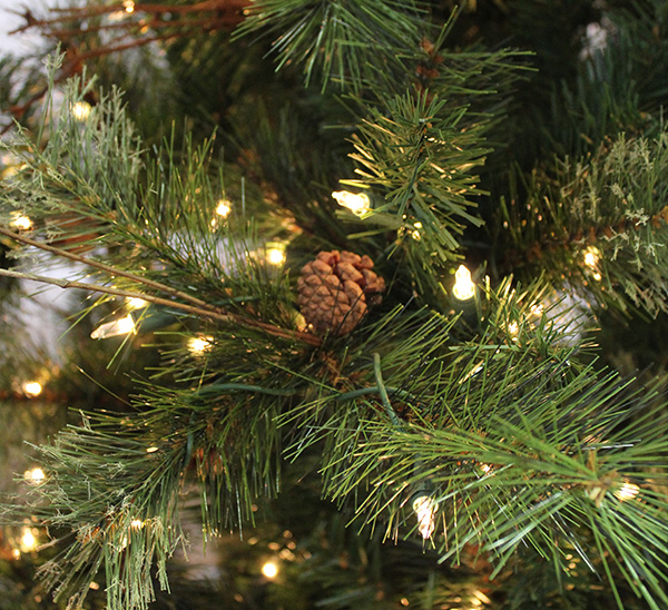 Life-Like Christmas Trees 