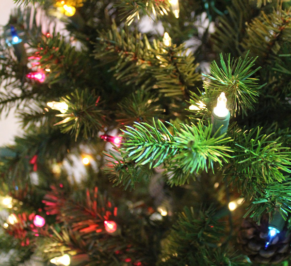 Life-Like Christmas Trees 