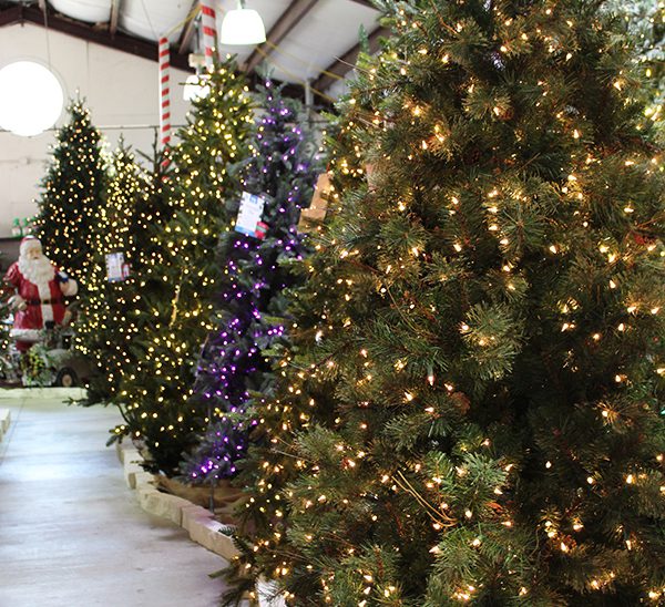 Life-Like Christmas Trees 