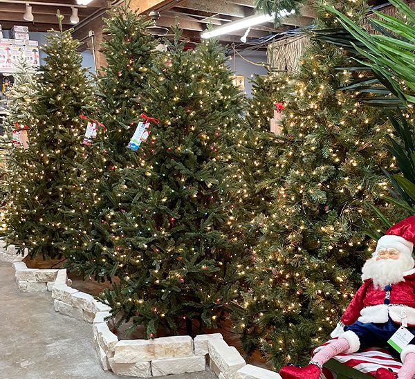 Life-Like Christmas Trees 