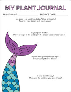 plant journal