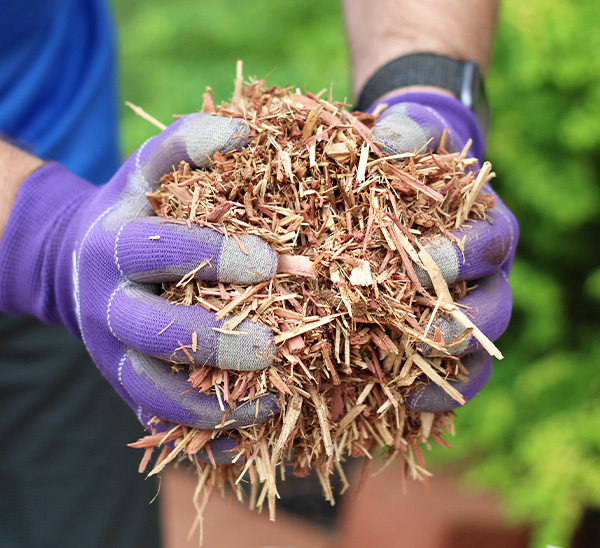 Calloway's Premium Organic Mulch 