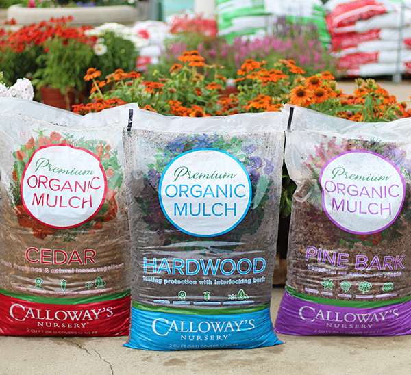 Link to Calloway's Premium Organic Mulch  product page