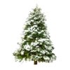 Fresh Cut Tipped Noble Fir