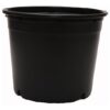 nursery pot 7gl