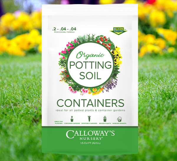 Link to Calloway’s Organic Container Potting Soil product page