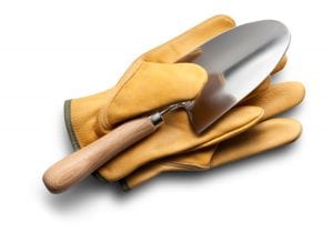 Pick and Plant Professional