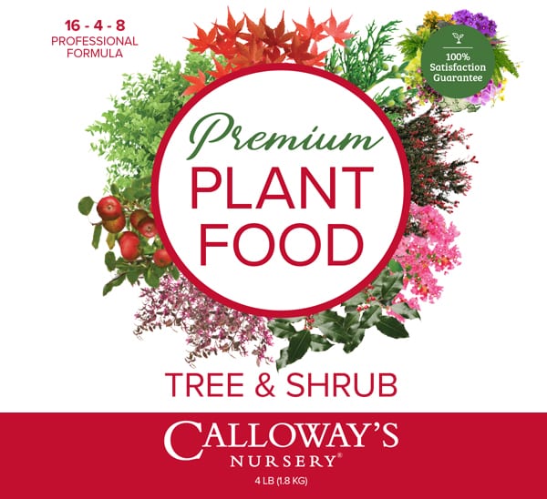https://www.calloways.com/wp-content/uploads/plant-food-tree-and-shrub19-l1.jpg