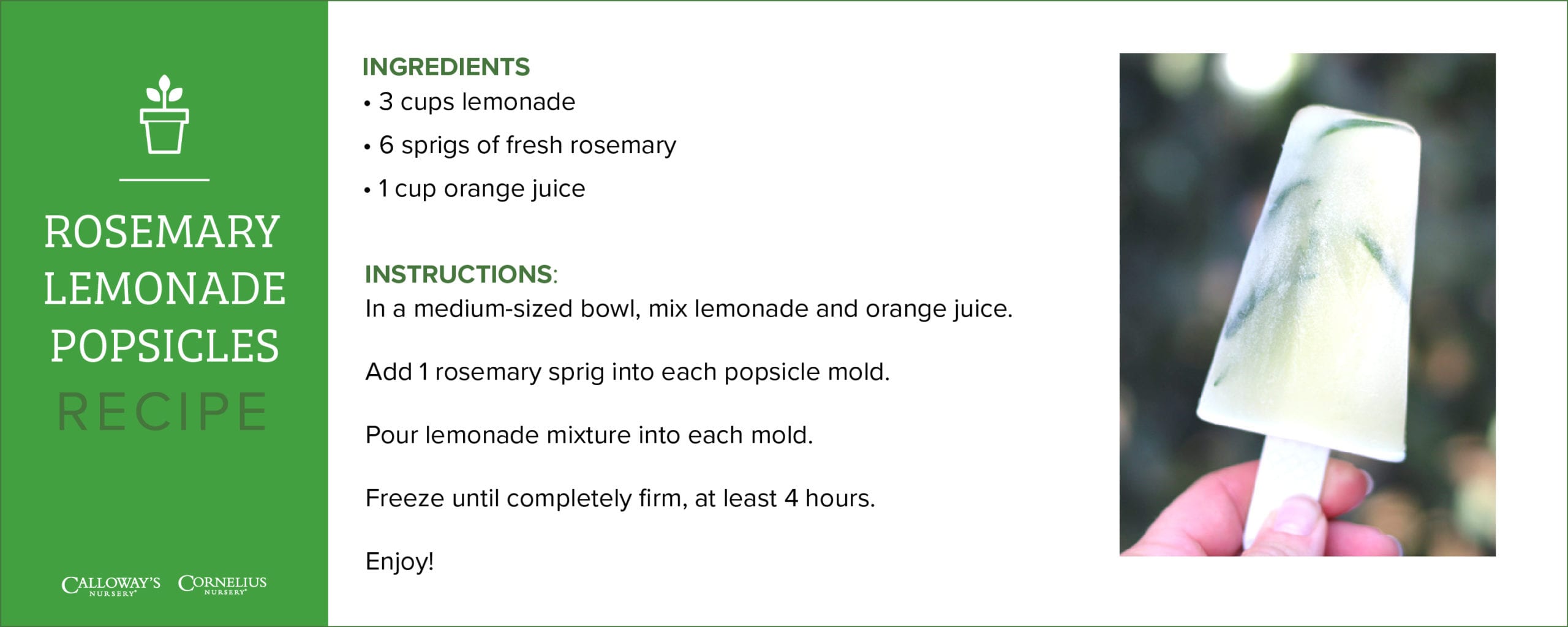 rosemary lemonade popsicle recipes