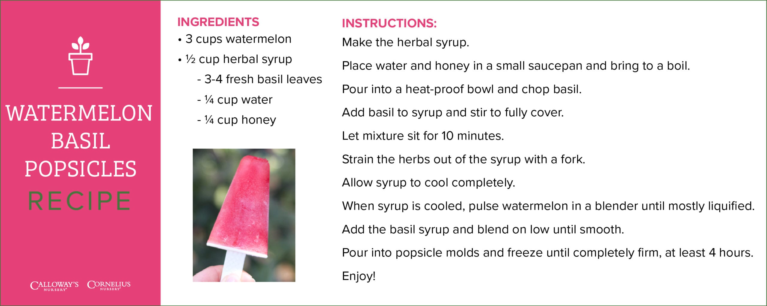 watermelon basil popsicle recipe