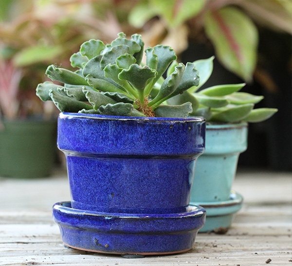Link to Tabletop Pottery  product page