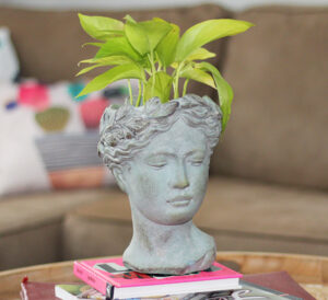 Lotus Tabletop pottery with face