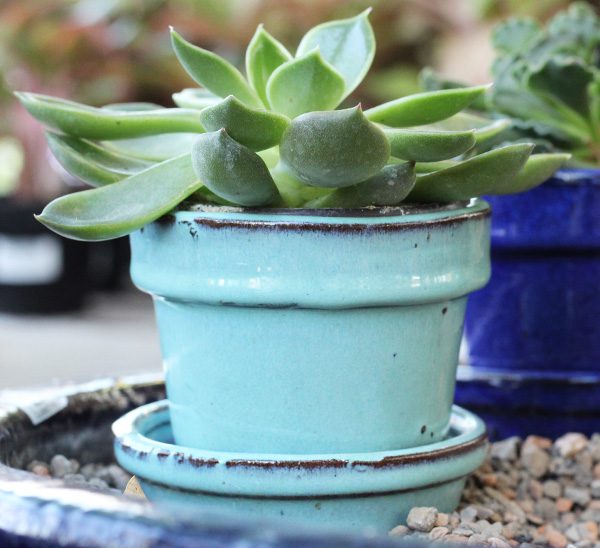 Tabletop Pottery 