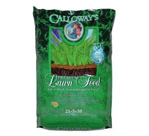 premium-lawn-food-600