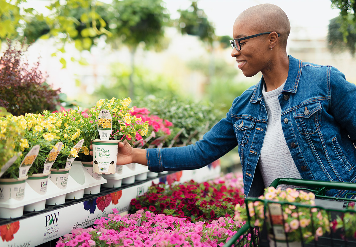 Proven Winners® Plants being picked