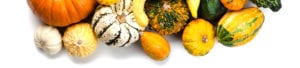 Selection of Pumpkins, Gourds, and Squash