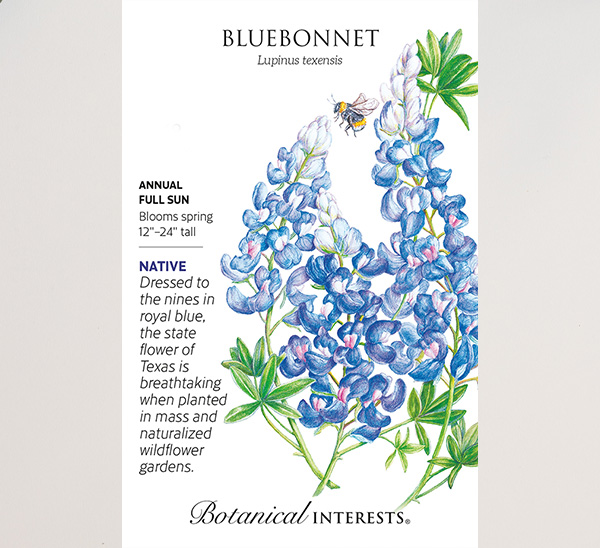 Link to Fall Seeds from Botanical Interests®  product page