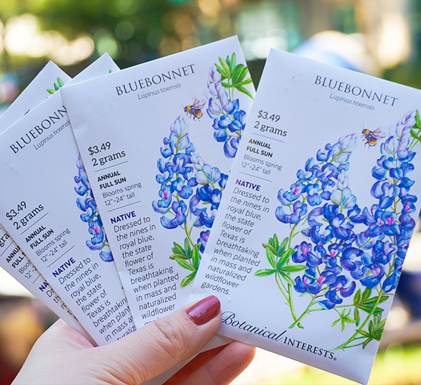 Link to Bulbs and Seeds  product page
