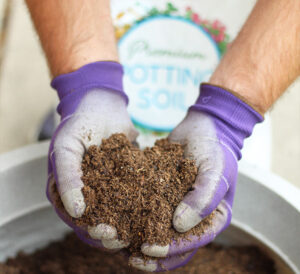 handful of calloway's premium potting soil