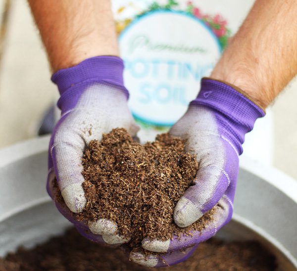 Calloway’s Organic Container Potting Soil