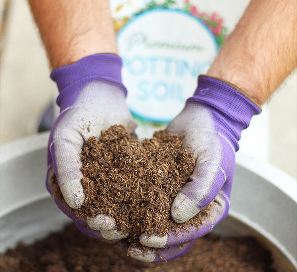 Link to Calloway’s Premium Container Potting Soil product page