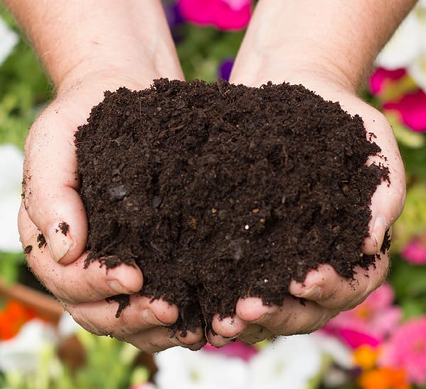 Potting Soil & Mulches