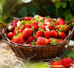 strawberries