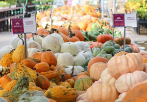 assortment of pumpkins