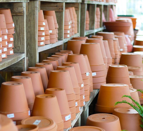 Terra Cotta Pottery	
