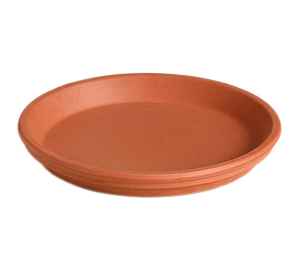 Terra Cotta Saucer