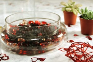 terrarium-1