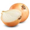 texas super sweet 1015y onion full grown, cut open on white background