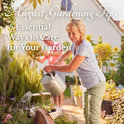 August Gardening Tips