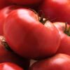 Tomato Starter Trio