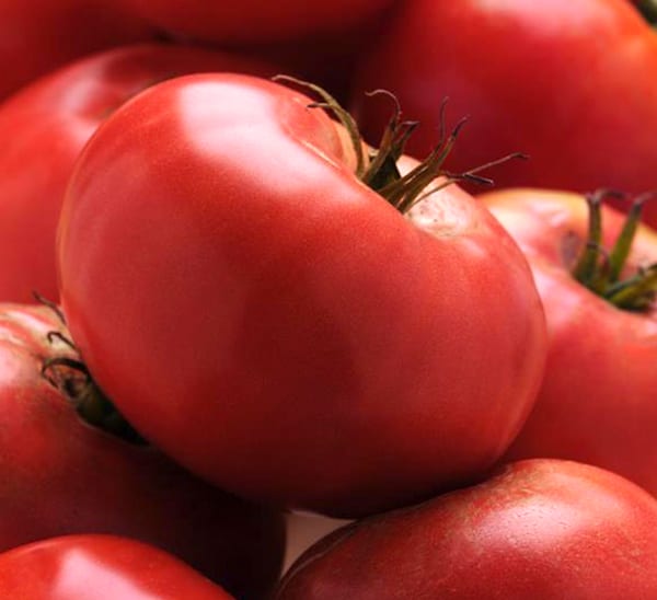 Tomato Heirloom Trio