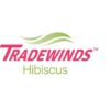 tradewinds tropical hibiscus(tm)