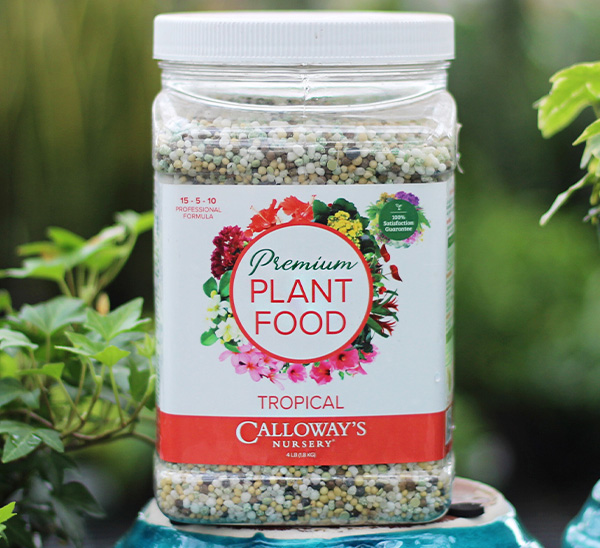 Calloway's Premium Tropical Plant Food