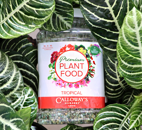 Calloway’s Premium Tropical Plant Food