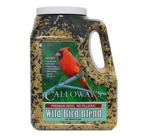 wild-bird-blend-8lbs-455x600