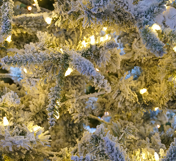Life-Like Christmas Trees 